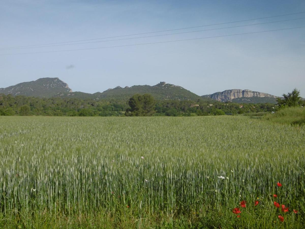 Le Castellas Du Pic St Loup Saint-Mathieu-de-Tréviers エクステリア 写真