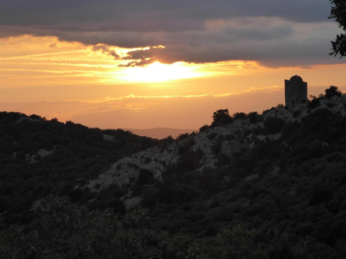 Le Castellas Du Pic St Loup Saint-Mathieu-de-Tréviers エクステリア 写真