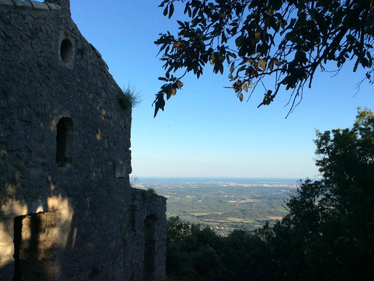 Le Castellas Du Pic St Loup Saint-Mathieu-de-Tréviers エクステリア 写真