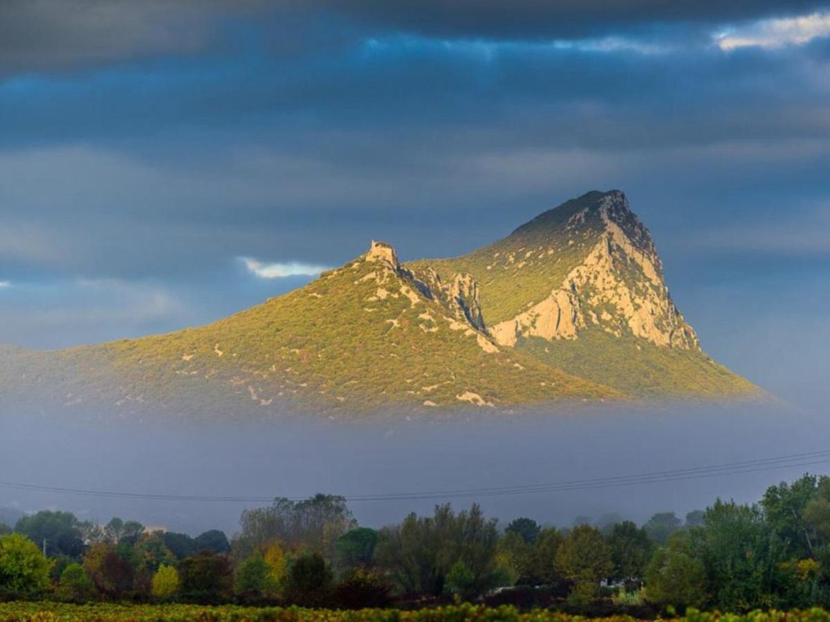 Le Castellas Du Pic St Loup Saint-Mathieu-de-Tréviers エクステリア 写真
