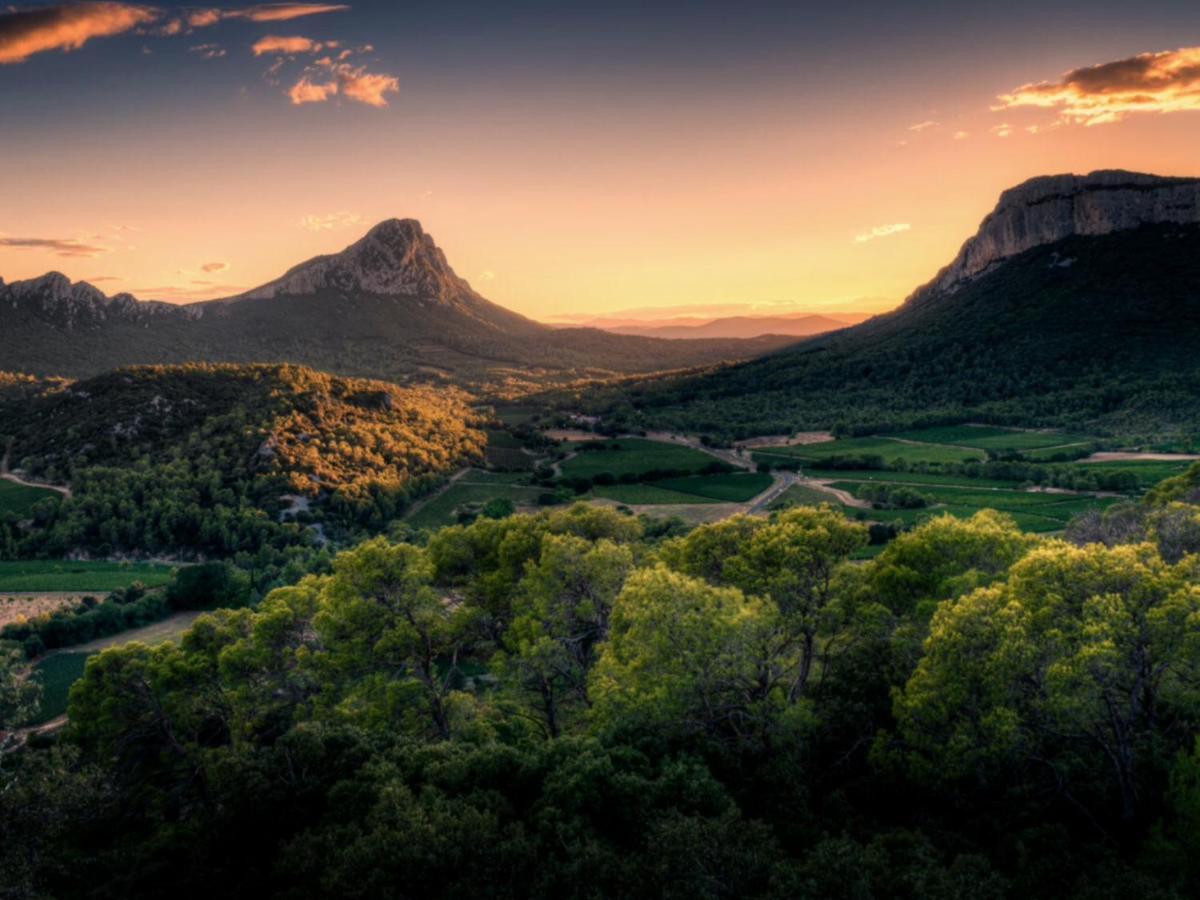 Le Castellas Du Pic St Loup Saint-Mathieu-de-Tréviers エクステリア 写真