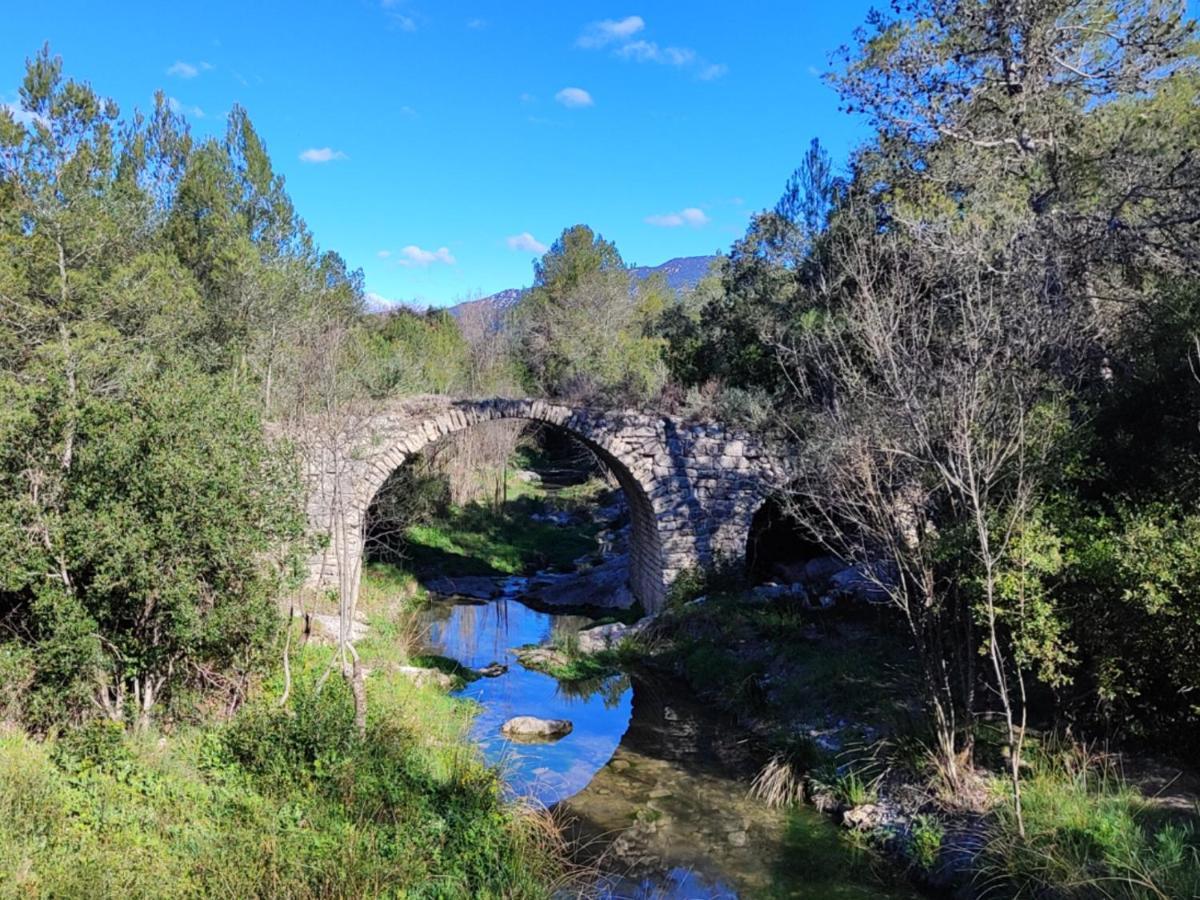 Le Castellas Du Pic St Loup Saint-Mathieu-de-Tréviers エクステリア 写真