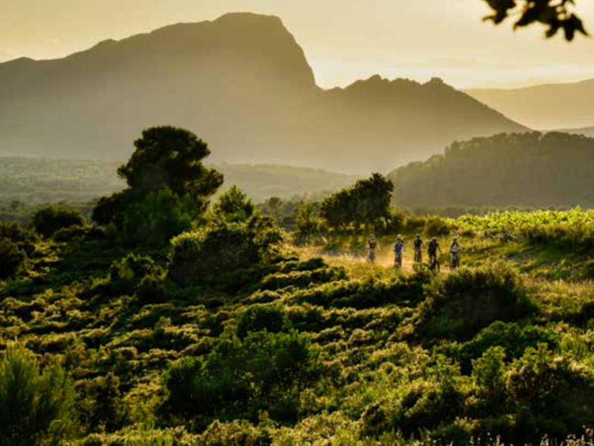 Le Castellas Du Pic St Loup Saint-Mathieu-de-Tréviers エクステリア 写真