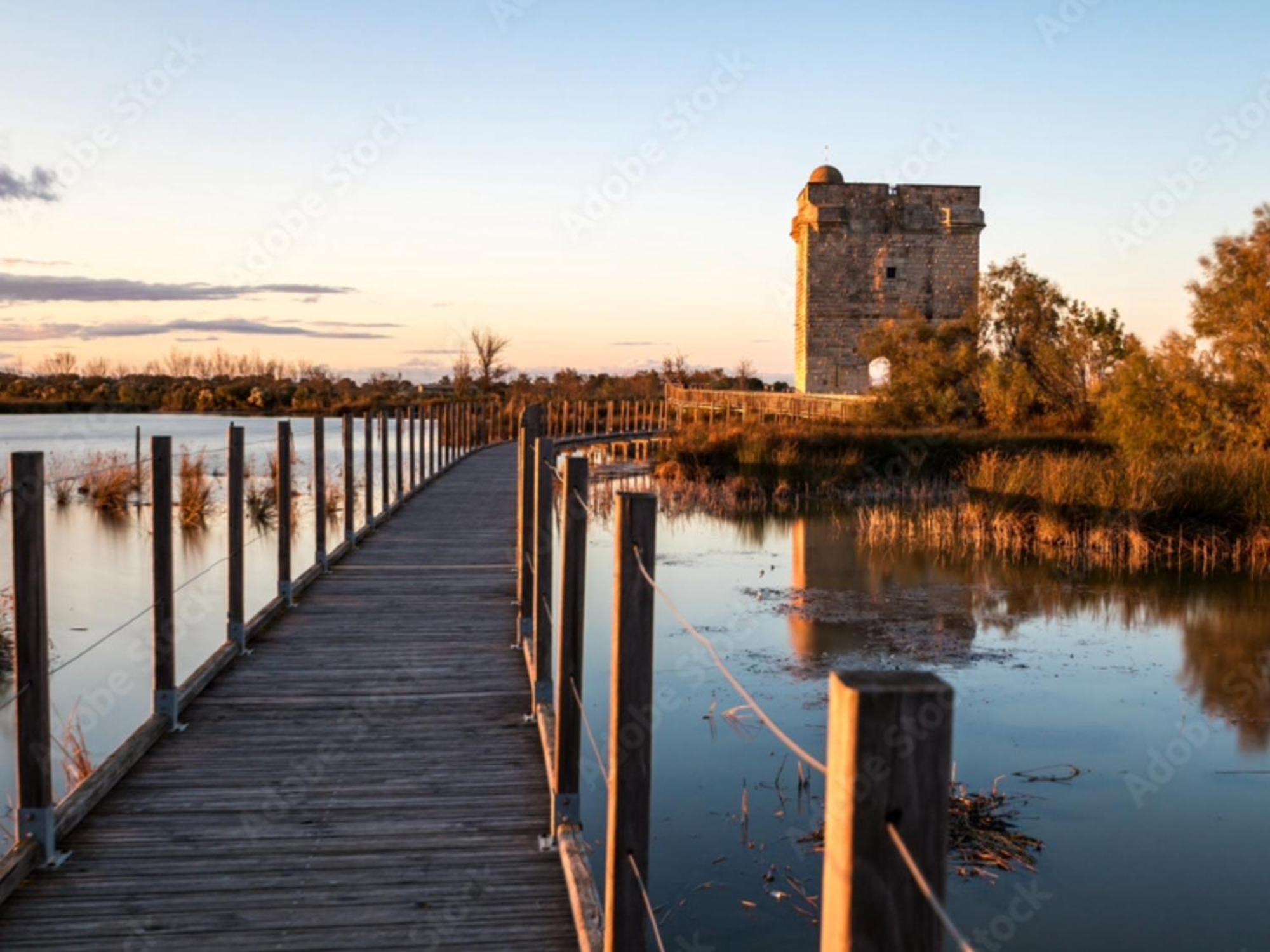 Le Castellas Du Pic St Loup Saint-Mathieu-de-Tréviers エクステリア 写真