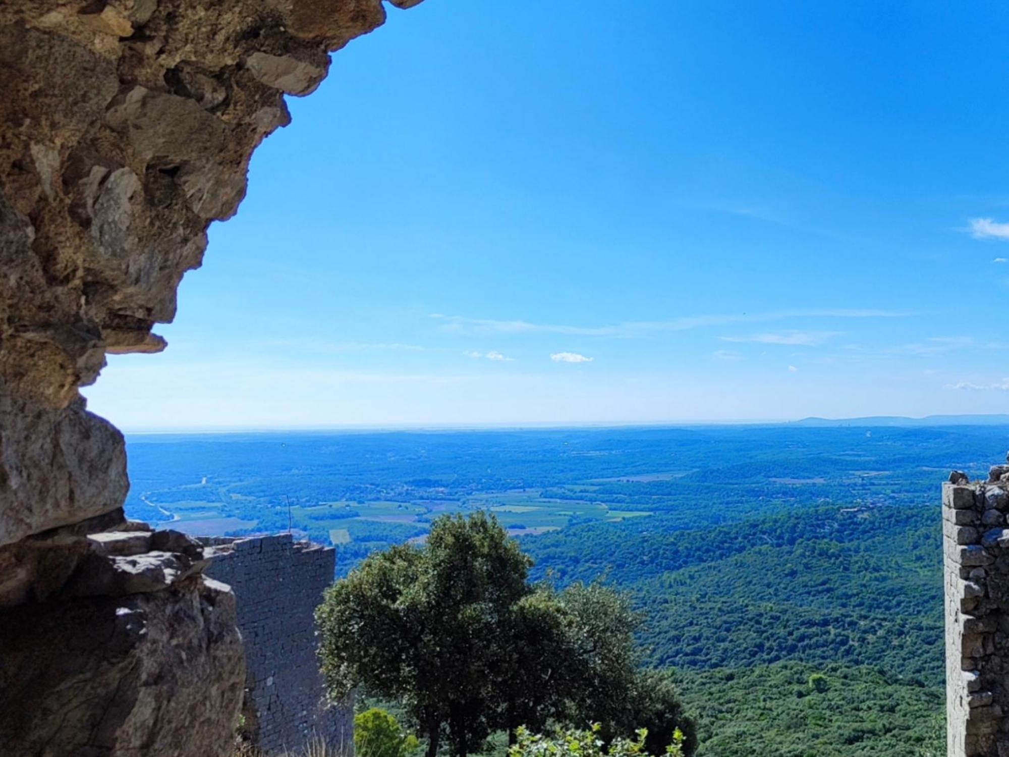 Le Castellas Du Pic St Loup Saint-Mathieu-de-Tréviers エクステリア 写真